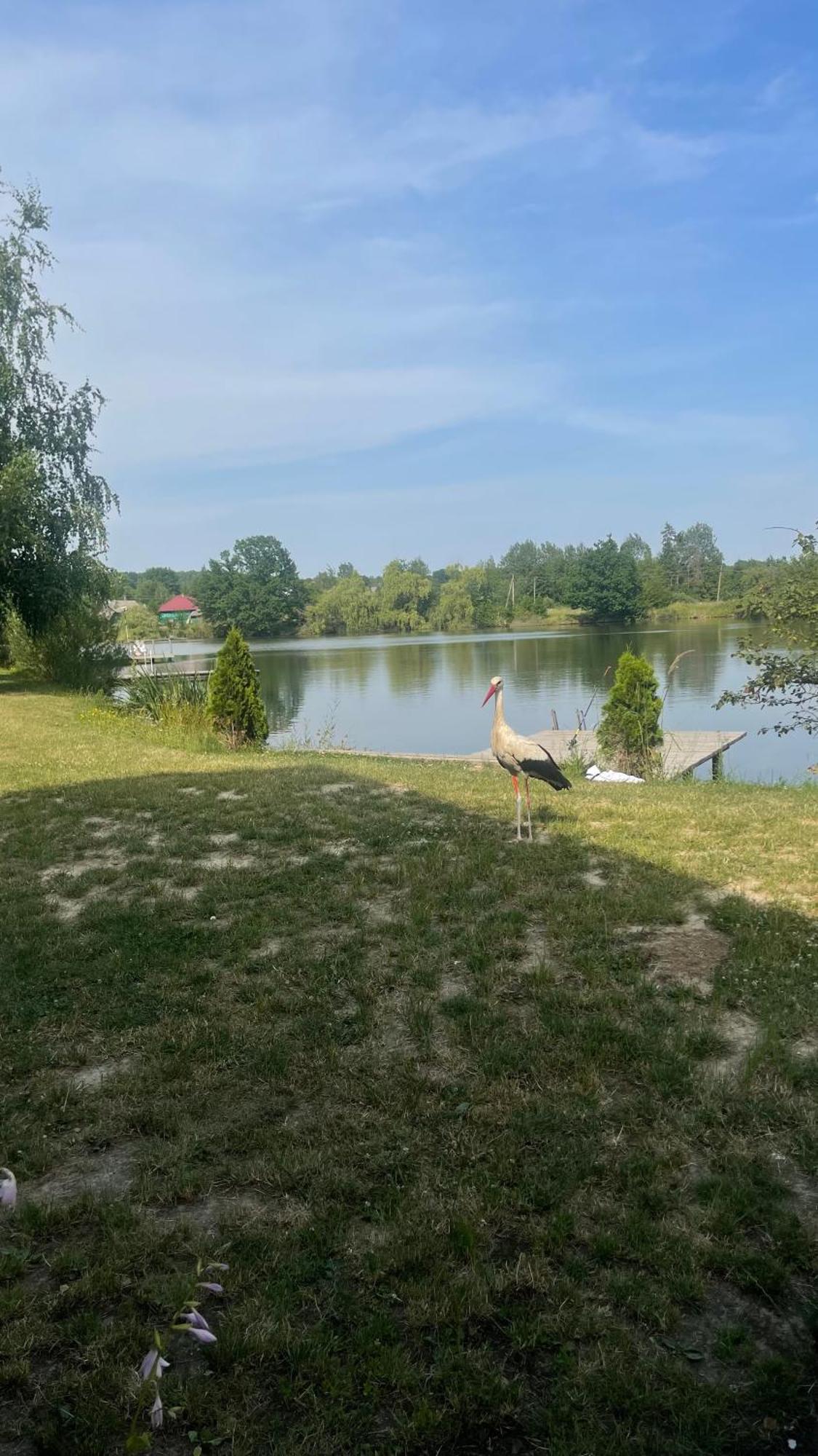 Перлина Буковини Lipovans Esterno foto